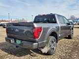 New 2025 Ford F150 STX w/ Equipment Group 200A image 5