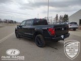 New 2025 Ford F150 XLT w/ Equipment Group 303A High image 3