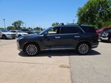Used 2024 Hyundai Palisade Calligraphy image 5