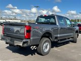 New 2025 Ford F250 XL image 5
