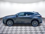 New 2025 Lexus NX 300h AWD w/ Luxury Package image 3
