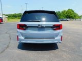New 2025 Honda Odyssey Sport-L image 4
