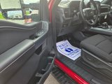 New 2025 Ford F150 XLT w/ Equipment Group 302A MID image 6