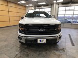New 2025 Ford F150 XLT w/ Equipment Group 303A High image 2