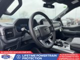 New 2025 Ford F150 XLT w/ Equipment Group 302A MID image 2
