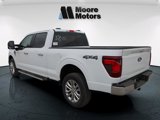 New 2025 Ford F150 XLT image 5