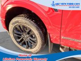 New 2025 Ford F150 XLT w/ Equipment Group 302A MID image 6