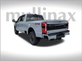 New 2025 Ford F250 Platinum image 3