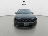 New 2025 Kia Carnival SX Prestige image 5