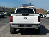 Used 2024 Ford F150 XLT image 4