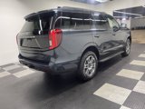 New 2025 Ford Expedition Active image 4