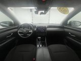 Used 2024 Hyundai Tucson SEL image 2