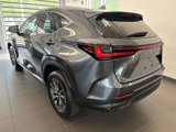 Used 2025 Lexus NX 350 AWD image 3