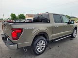 New 2025 Ford F150 XLT image 6