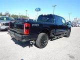 New 2025 Ford F250 XLT w/ Black Appearance Package image 3