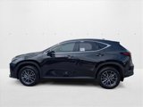 New 2026 Lexus NX 350 AWD w/ Premium Package image 5