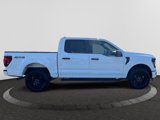 New 2025 Ford F150 STX image 3