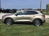 Used 2020 Ford Escape Titanium w/ Titanium Premium Package 2.0 image 6