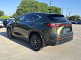 Used 2024 Lexus NX 350h AWD w/ Premium Package image 4