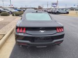 New 2025 Ford Mustang Premium image 4