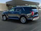 New 2025 Hyundai Palisade Calligraphy image 4