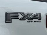 New 2025 Ford F150 Platinum w/ Equipment Group 702A High image 2