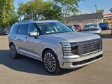 New 2026 Hyundai Palisade Calligraphy image 4