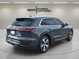 Used 2024 Audi Q8 e-tron Premium Plus w/ Premium Plus Package image 3