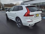 New 2025 Volvo XC60 T8 Plus w/ Protection Package Premier image 5