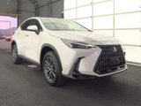 Used 2025 Lexus NX 350h AWD w/ Premium Package image 2
