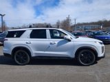 New 2025 Hyundai Palisade XRT image 2