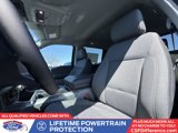 New 2025 Ford F150 XLT w/ Equipment Group 302A MID image 4