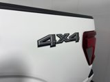 New 2025 Ford F150 XLT w/ Equipment Group 303A High image 6