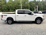 Used 2019 Ford F150 XLT w/ Equipment Group 301A Mid image 5