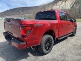 New 2025 Ford F150 XLT image 4
