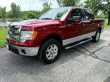 Used 2013 Ford F150 XLT w/ Luxury Equipment Group image 3