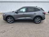 New 2025 Ford Escape ST-Line w/ Tech Pack #1 image 2