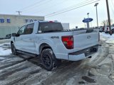 New 2025 Ford F150 XLT w/ Equipment Group 301A Standard image 3