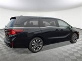 New 2025 Honda Odyssey Elite image 3