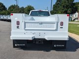 New 2025 Ford F550 4x4 Regular Cab Super Duty image 5