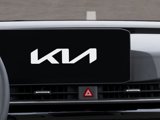 New 2025 Kia Carnival SX Prestige image 2