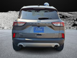 Certified 2022 Ford Escape SEL image 5