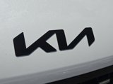 New 2026 Kia Carnival SX image 4