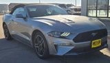 Used 2022 Ford Mustang Premium image 2