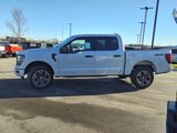 New 2025 Ford F150 STX w/ Equipment Group 200A image 6