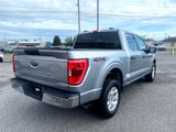Used 2023 Ford F150 XLT image 5