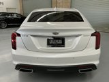 Used 2021 Cadillac CT5 Premium Luxury image 6