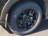 New 2025 Nissan Armada PRO-4X image 5
