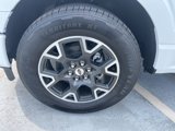 New 2025 Ford F150 STX w/ Equipment Group 200A image 4
