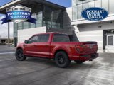 New 2025 Ford F150 STX image 5
